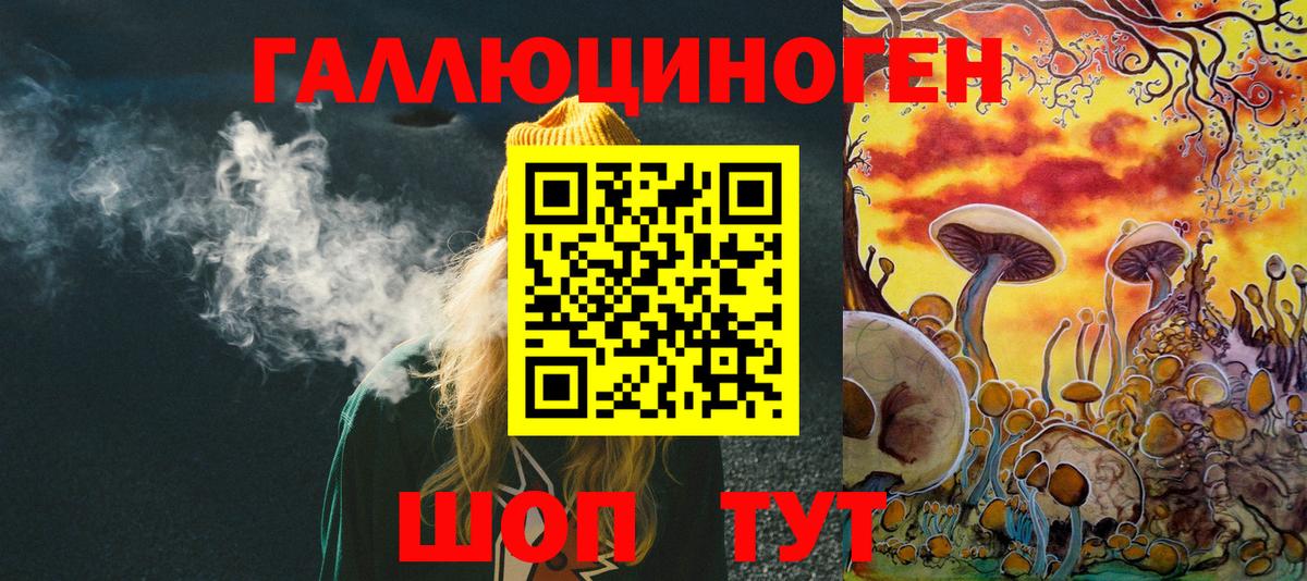 Псилоцибиновые грибы мицелий  где можно купить   Елизово  Псилоцибиновые грибы Cubensis  Вход с VPN 